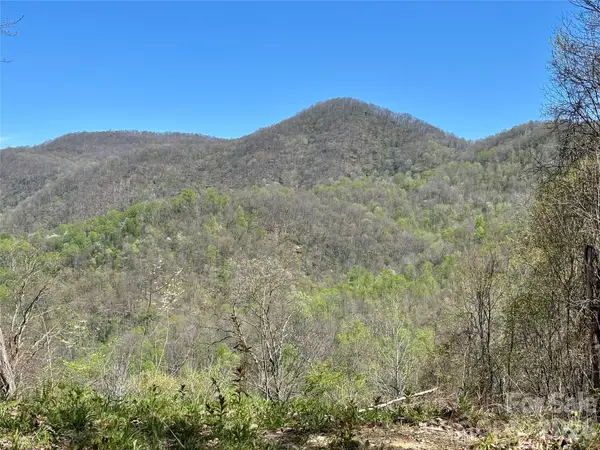 (West Lot) Meadow Fork Road, Hot Springs, NC 28743