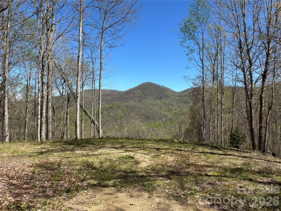 (West Lot) Meadow Fork Road, Hot Springs, NC 28743 - #3