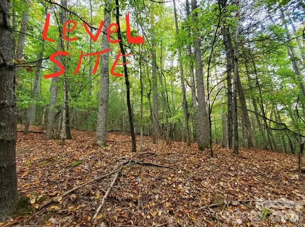 00 Hickory Wood Trail #20,21, Hendersonville, NC 28739