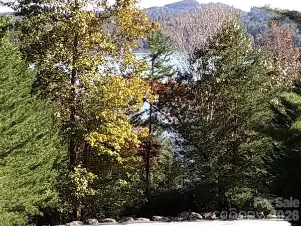 0 Hilltop None #41, Lake Lure, NC 28746