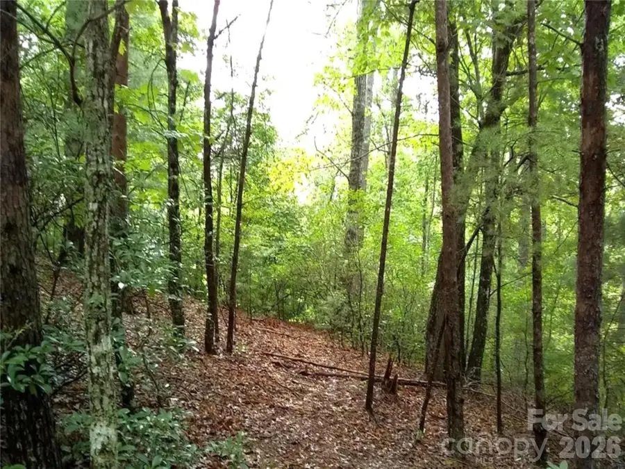 0 Hilltop None #41, Lake Lure, NC 28746 - Image #2