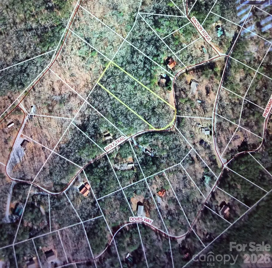 0 Wolf Trail #030, Lake Lure, NC 28746 - Image #2