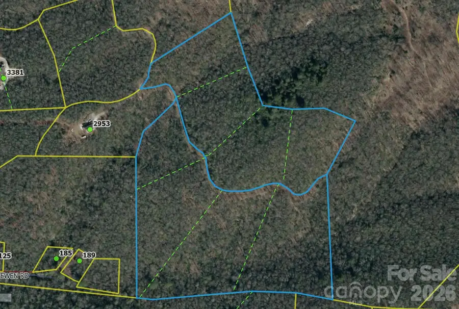 000 Halls Chapel Road, Burnsville, NC 28714 - #2