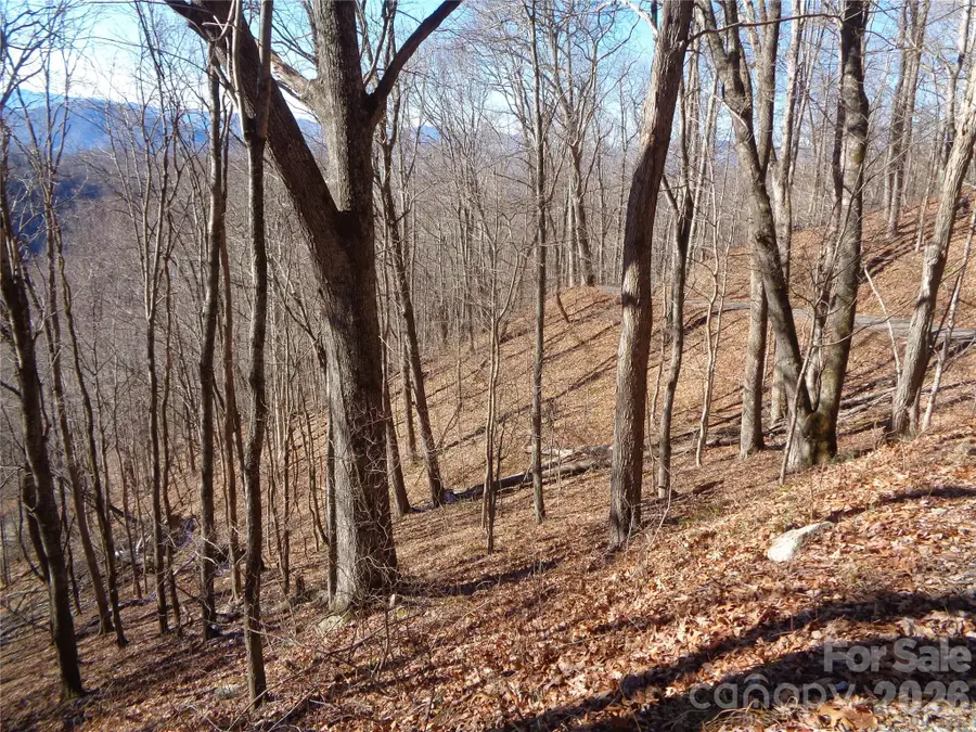 00 Listening Cove #41, Clyde, NC 28721 - #3