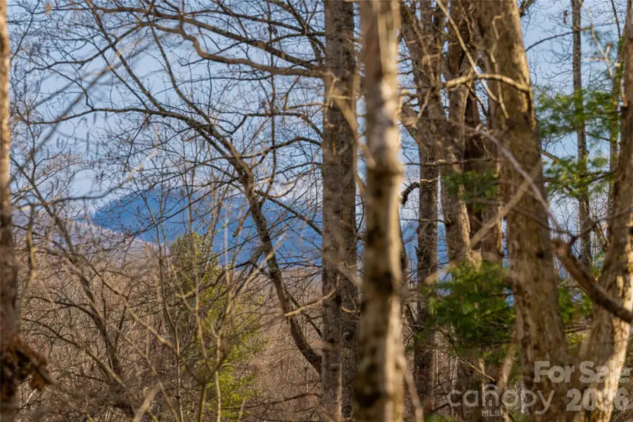 13 Cambridge Drive, Candler, NC 28715 - #2