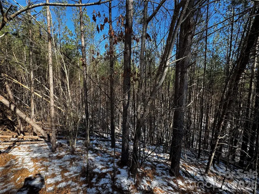 LT 5 Geebees Way, Mill Spring, NC 28756 - #3