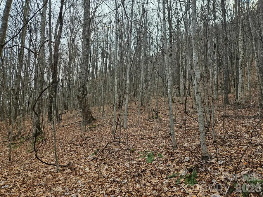 000 Slippery Rock Lane, Waynesville, NC 28785 - #2