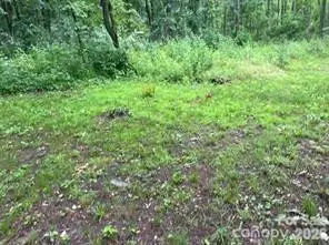 0 Bishop Lane, Mill Spring, NC 28756 - #3