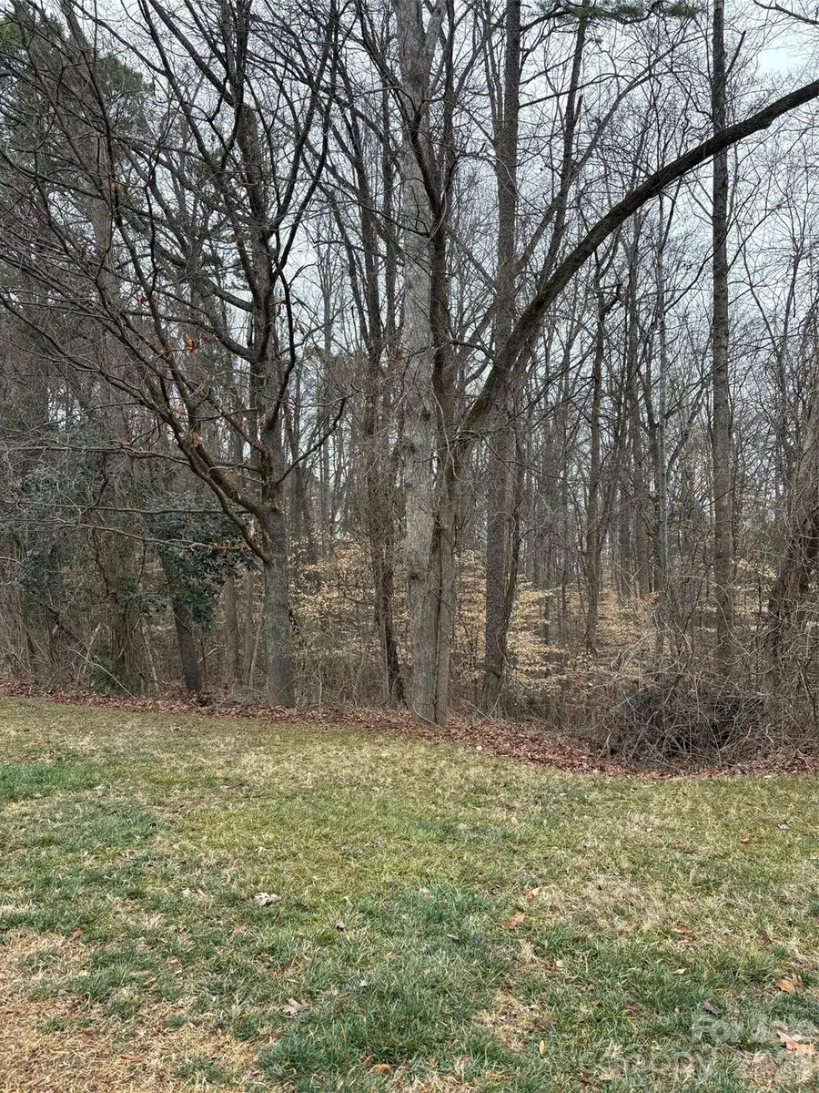 1062 Elizabeth Manor Court, Matthews, NC 28105 - Image #2