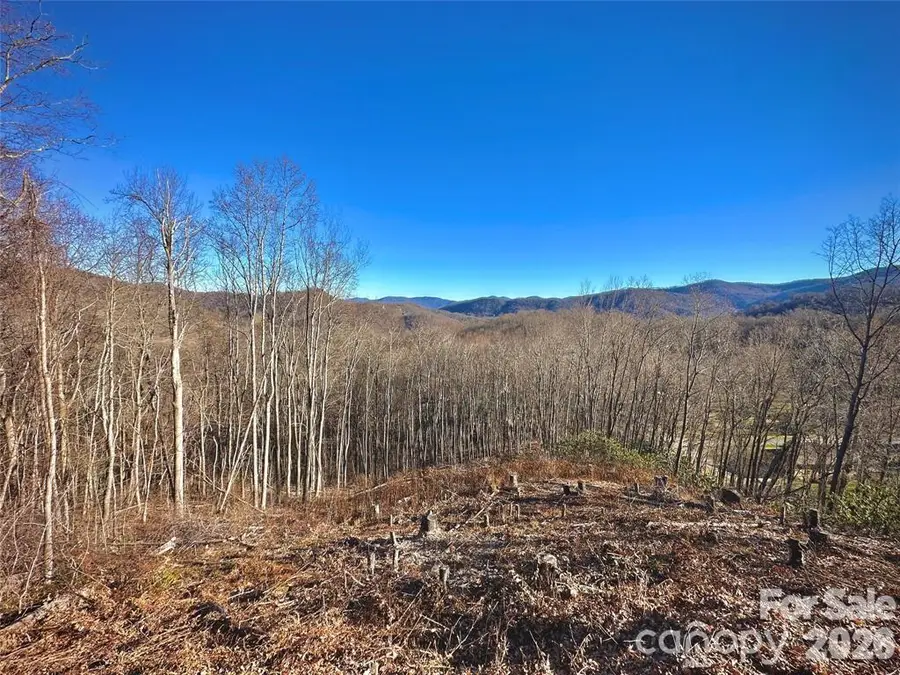 Lot 3 Mountain Watch Drive, Waynesville, NC 28785 - Image #2