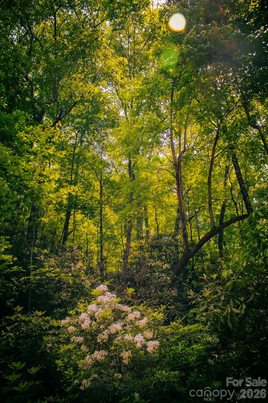 TBD Fox Den Road #57&59, Brevard, NC 28712 - #3