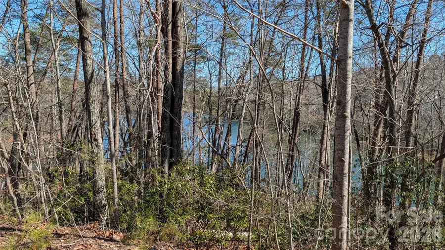 0 Lakewood Drive, Lake Lure, NC 28746 - Image #3