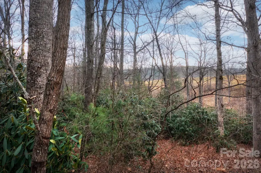 38 Gollum Drive, Fairview, NC 28730 - #2