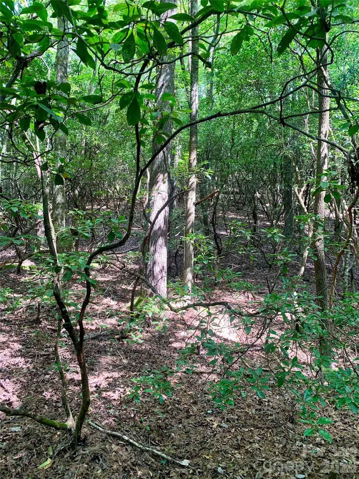 6 Double Creek Road #6, Brevard, NC 28712 - #1