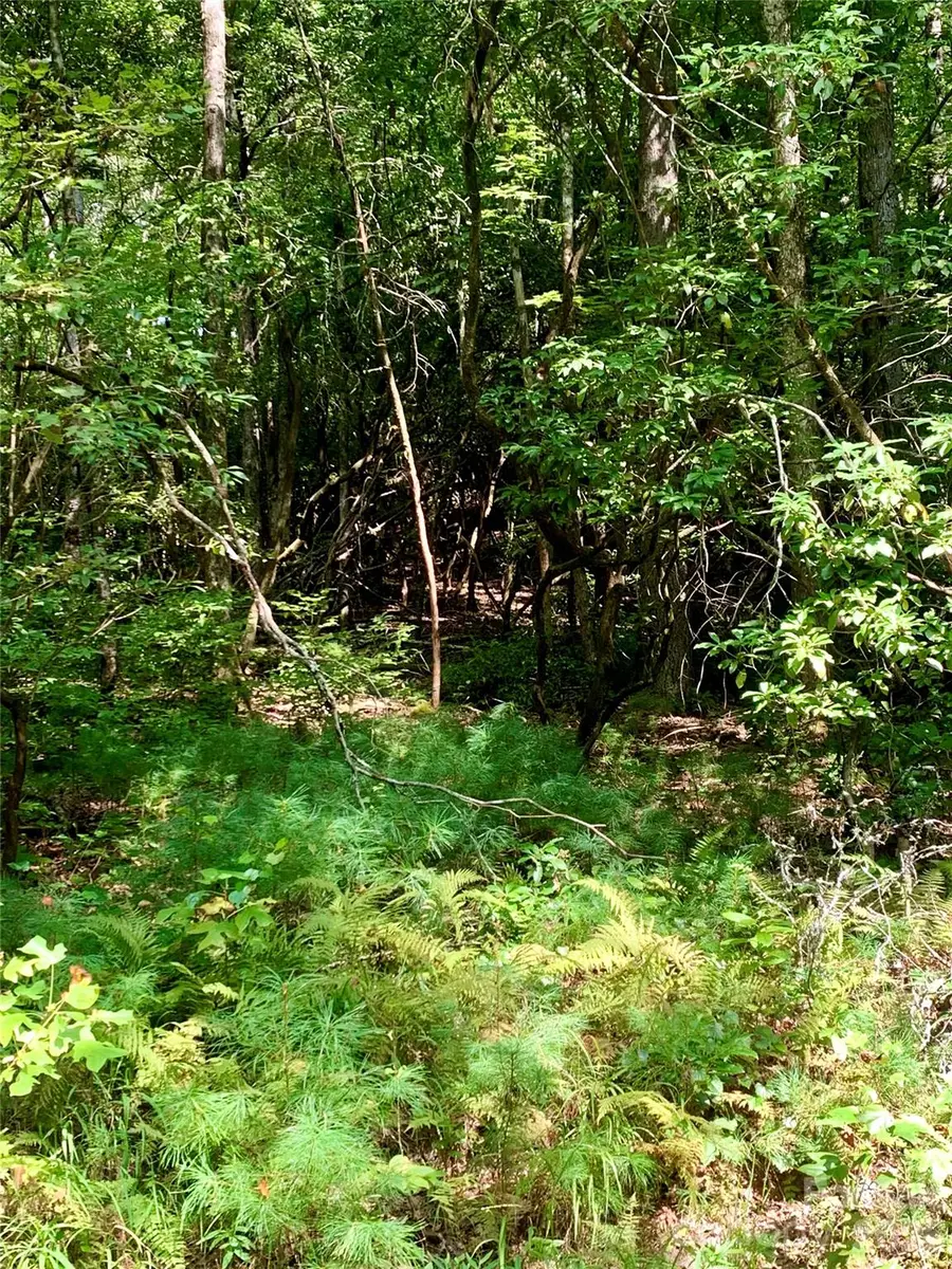 6 Double Creek Road #6, Brevard, NC 28712 - #3