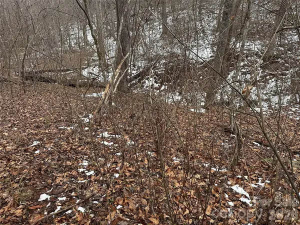 #167 Rolling Road, Lincolnton, NC 28092