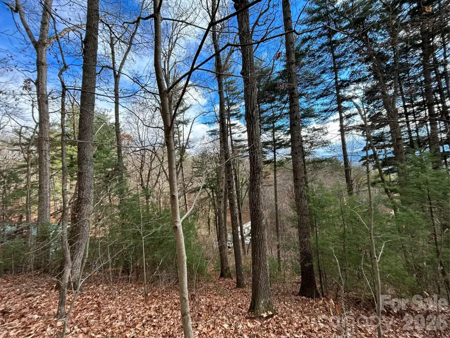 99999 Cowan Cove Road, Asheville, NC 28806 - Image #2