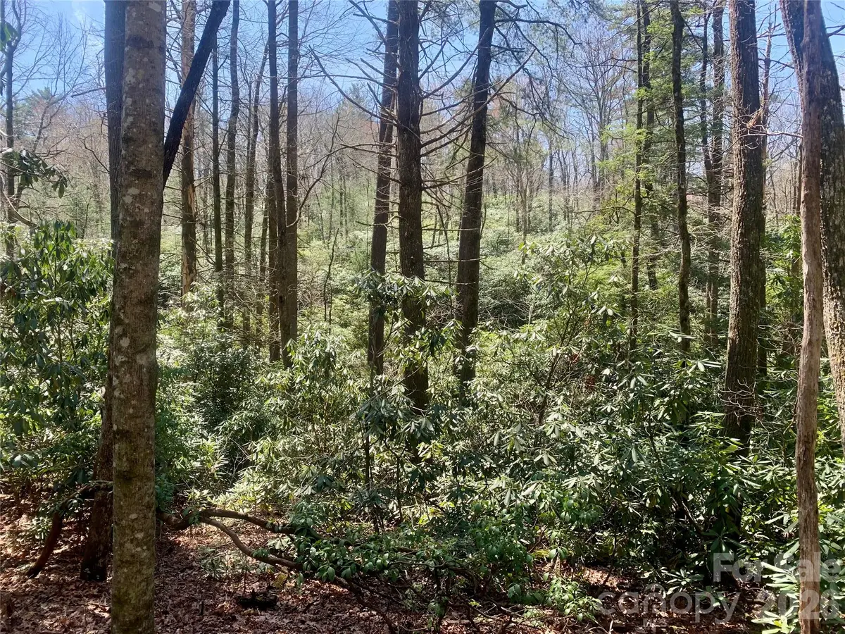 Lot 20A Indian Lake Road #20A, Lake Toxaway, NC 28747 - #1