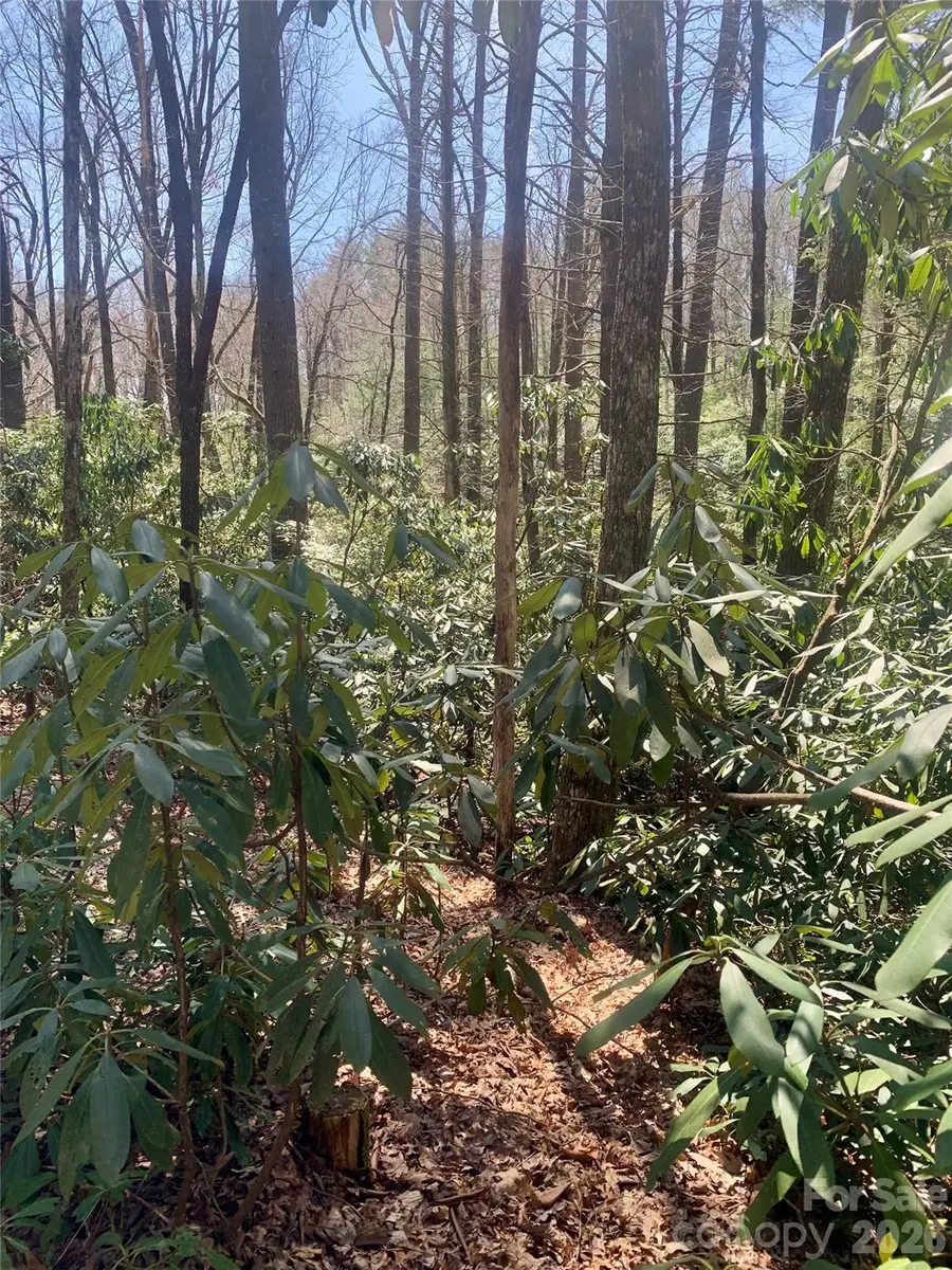 Lot 20A Indian Lake Road #20A, Lake Toxaway, NC 28747 - #3