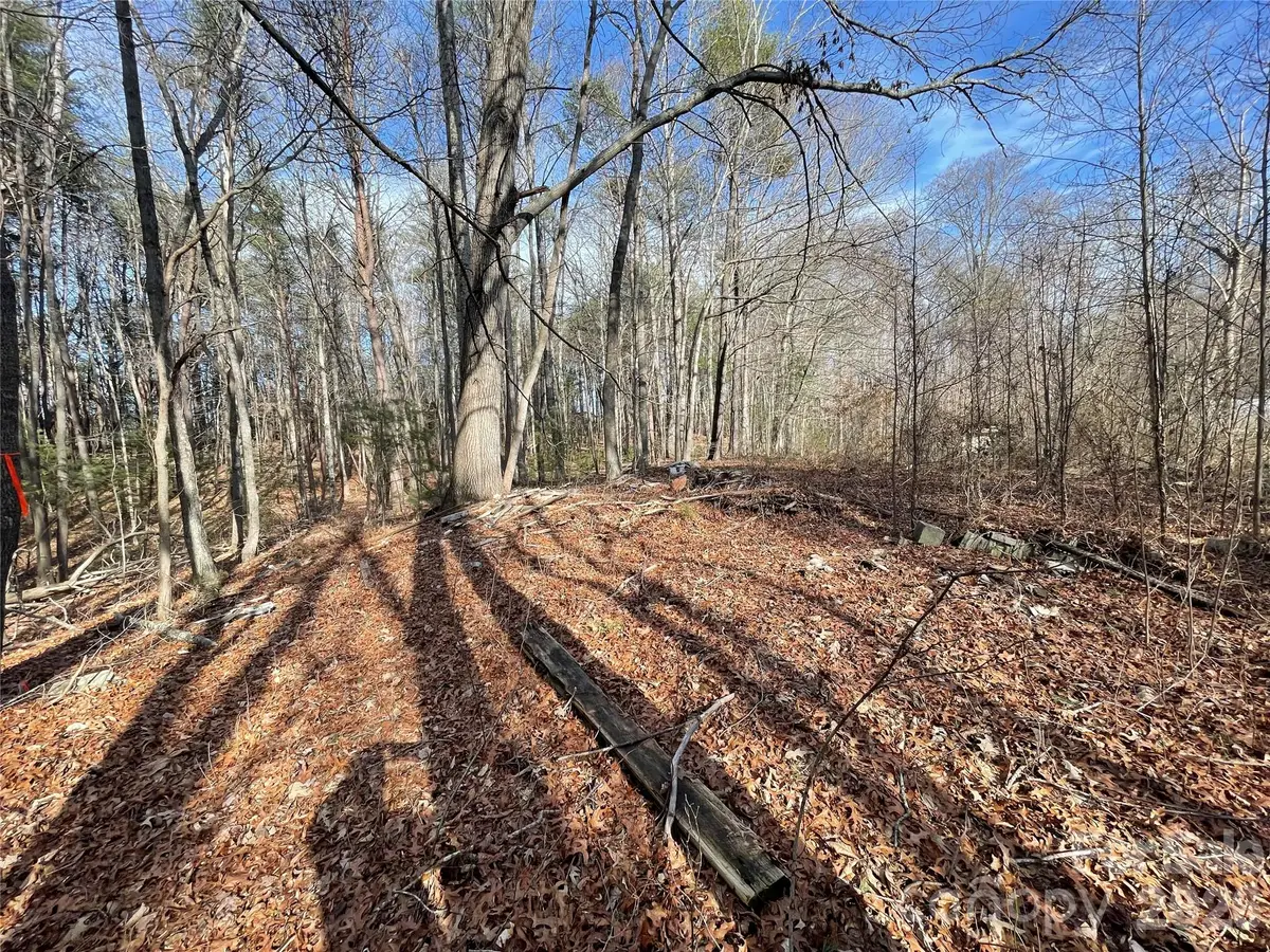 218 Max Metcalf Road, Swannanoa, NC 28778 - #1