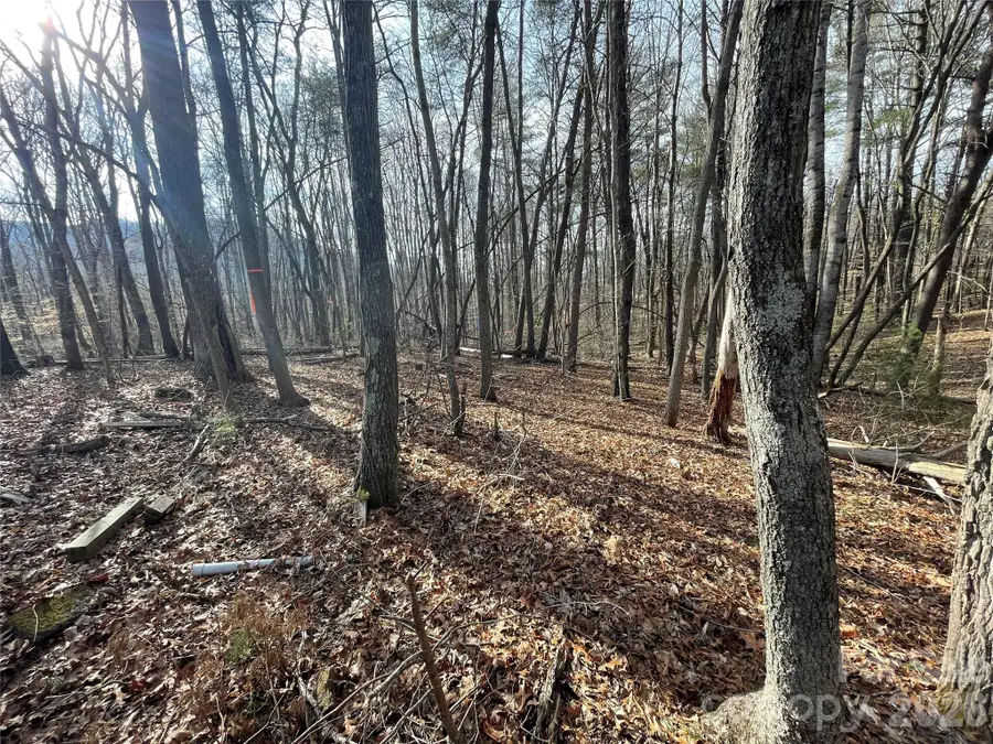 218 Max Metcalf Road, Swannanoa, NC 28778 - #3