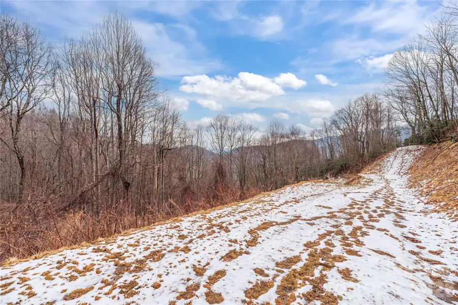 391 Valley View Drive, Maggie Valley, NC 28751 - #2