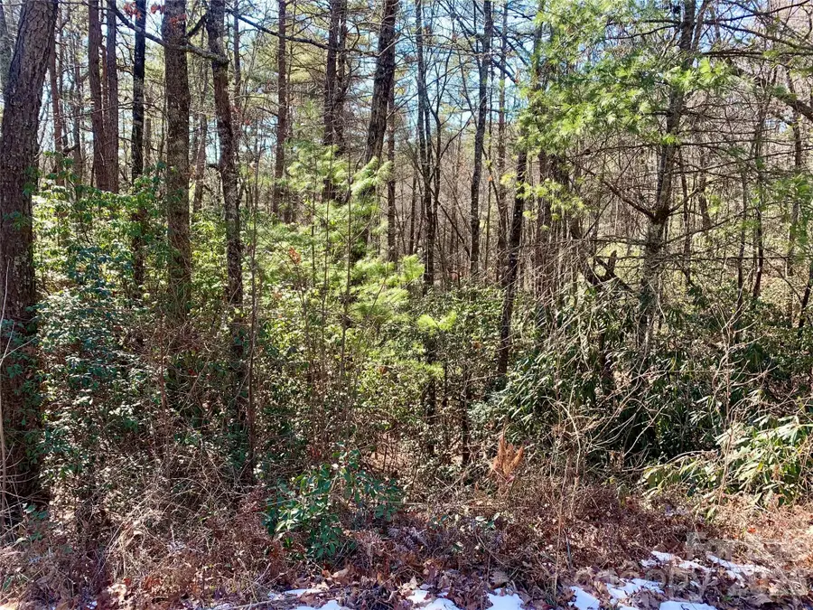 Lot 18 Oak Ridge Drive #18, Brevard, NC 28712 - #3