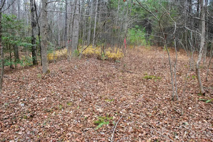 3727 Mt Beulah Road, Sherrills Ford, NC 28673 - #2