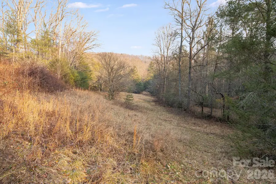 0000 Red Eft Way, Horse Shoe, NC 28742 - #2