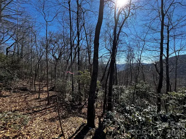 TBD Acacia Court #936, Black Mountain, NC 28711