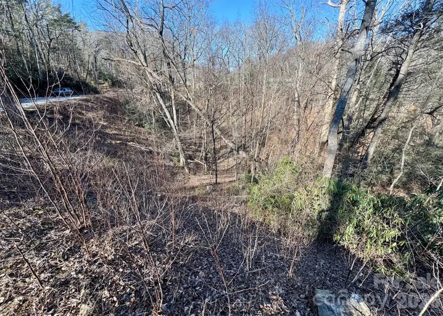 42 Asa Gray Drive, Lake Lure, NC 28720 - Image #3