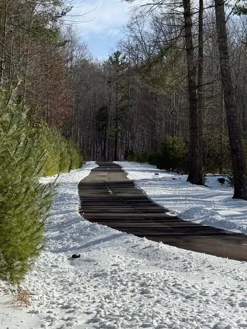 Lot 38 Sonterra Ridge, Lansing, NC 28643 - #3