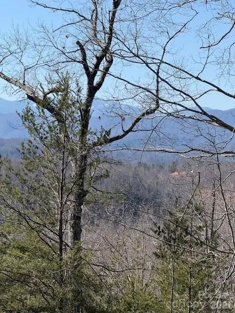 000 Dobson Knob Loop Road, Marion, NC 28752 - #1