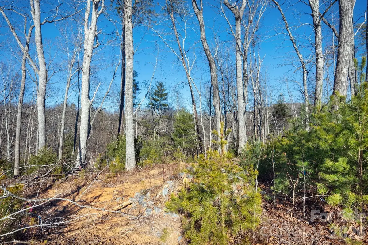 136 Riverbend Forest Drive #21, Asheville, NC 28805 - #1