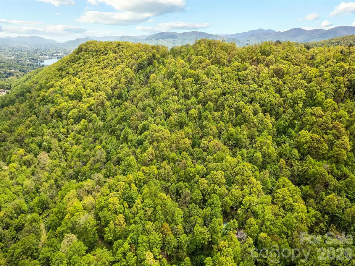 00 Locust Trail, Waynesville, NC 28785 - #1