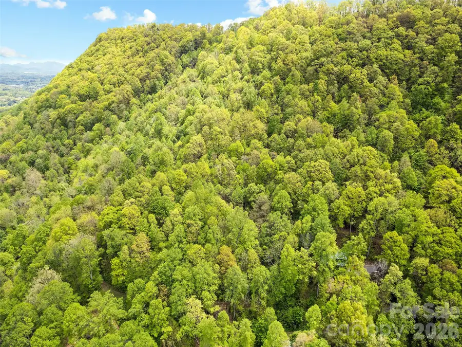 00 Locust Trail, Waynesville, NC 28785 - #2