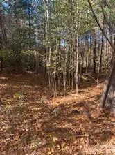 436 Sunset Point Parkway #39, Nebo, NC 28761 - #3