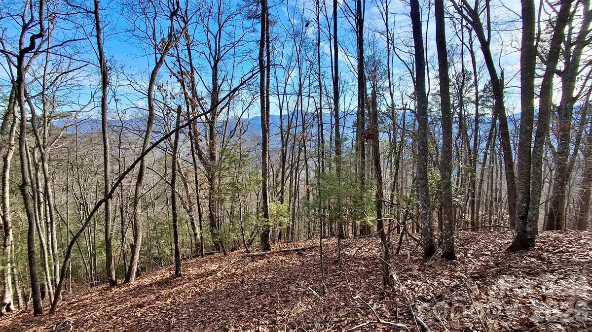 0 Briarwood Road, Webster, NC 28788 - Image #1