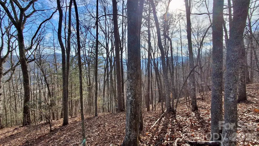 0 Briarwood Road, Webster, NC 28788 - Image #2