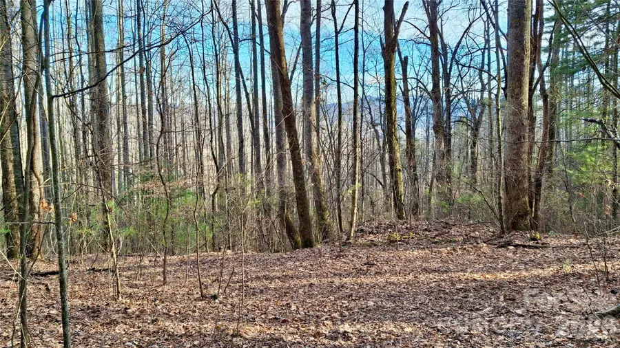 0 Briarwood Road, Webster, NC 28788 - Image #3