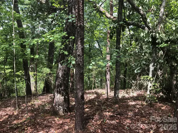 0 Buffalo Creek Road #Lot 35, Lake Lure, NC 28746