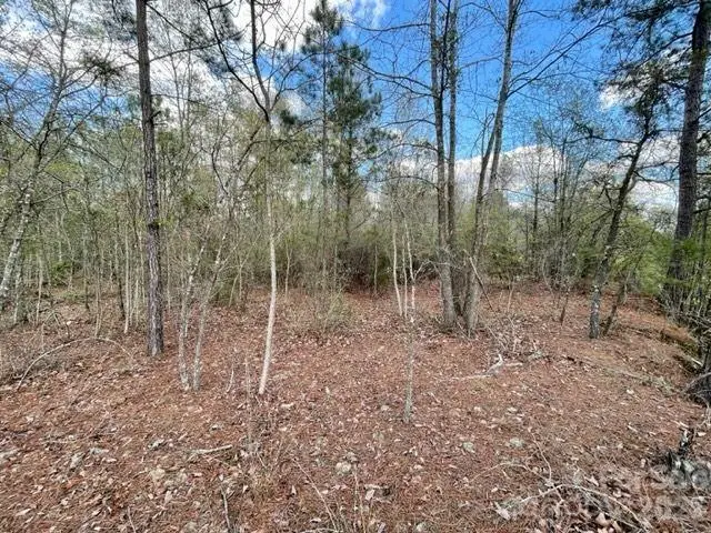 0000 Hwy 1 Bypass, Cheraw, SC 29520 - #2