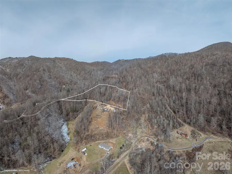 00 Max Patch Road, Clyde, NC 28721 - #2