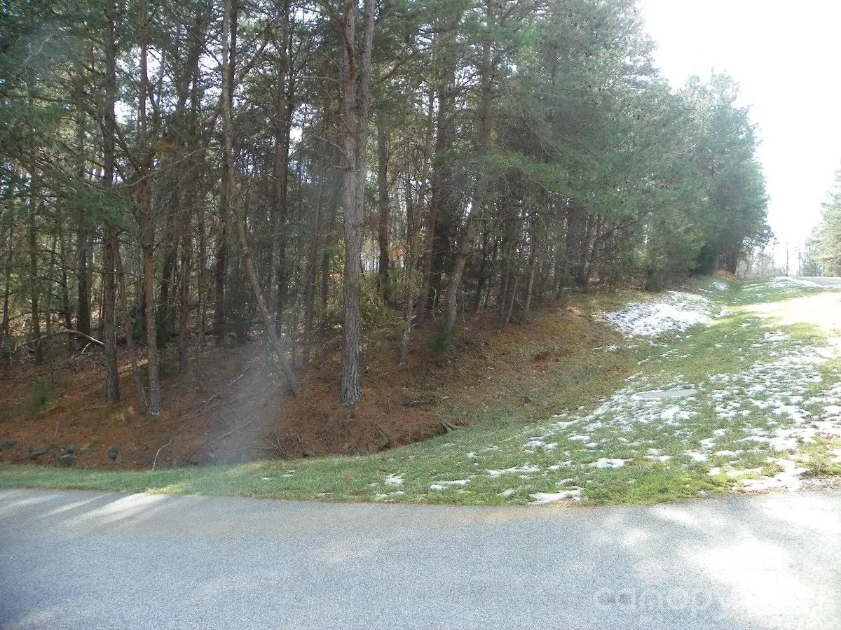 133 Lakewood Court, New London, NC 28127 - #1