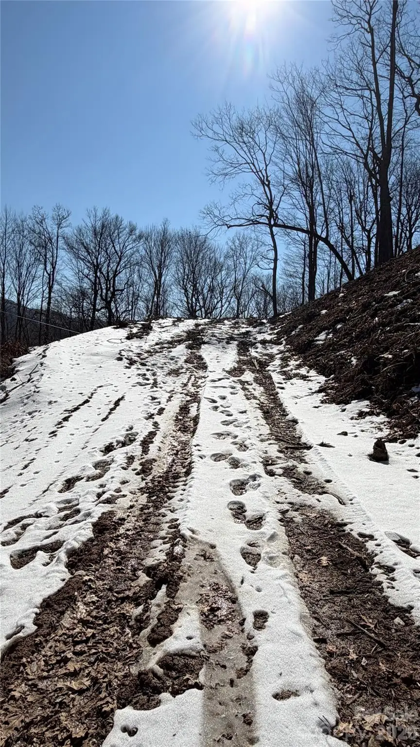 000 Fox Den Road #109, Mars Hill, NC 28754 - #1