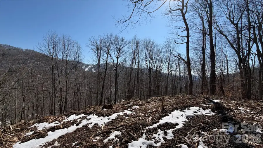 000 Fox Den Road #109, Mars Hill, NC 28754 - #2