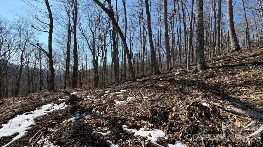 000 Fox Den Road #109, Mars Hill, NC 28754 - #3