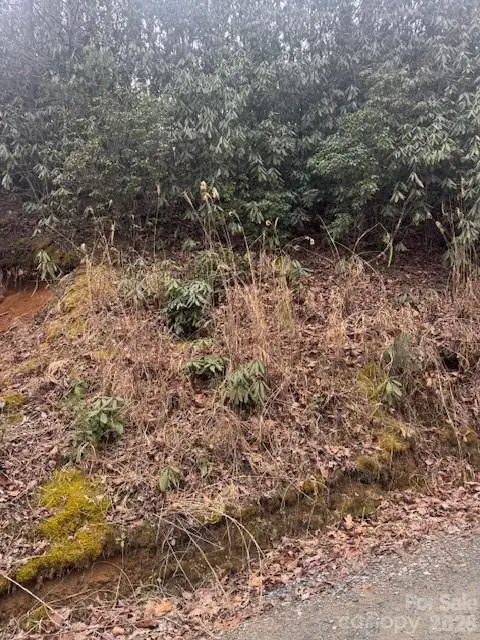 0 Benton Drive, Etowah, NC 28729 - #2