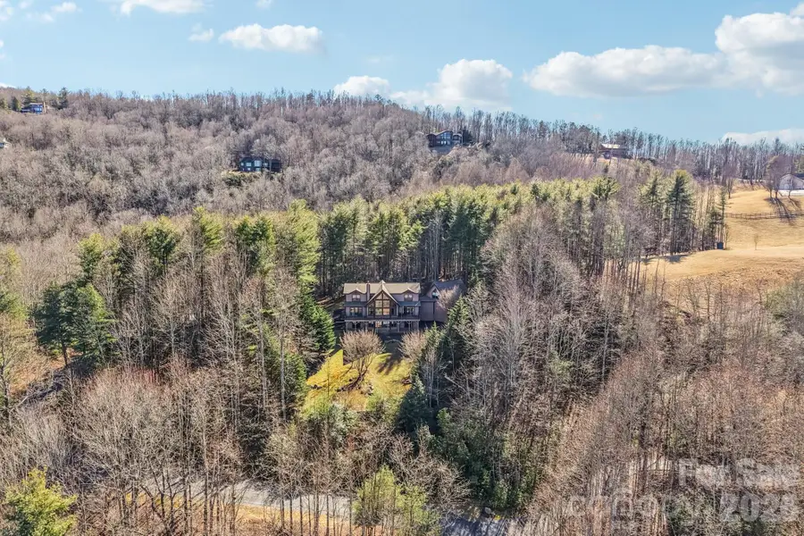 266 Lost Mine Trail, Brevard, NC 28712 - #3