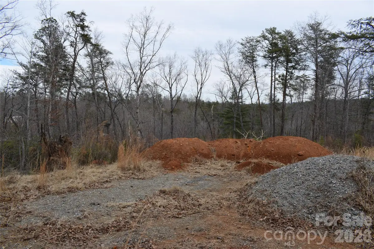 172 Winter Lane, Mill Spring, NC 28756 - #1